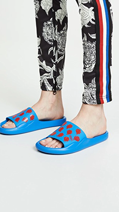 Shop Kenzo Flower Pool Slides In Cobalt