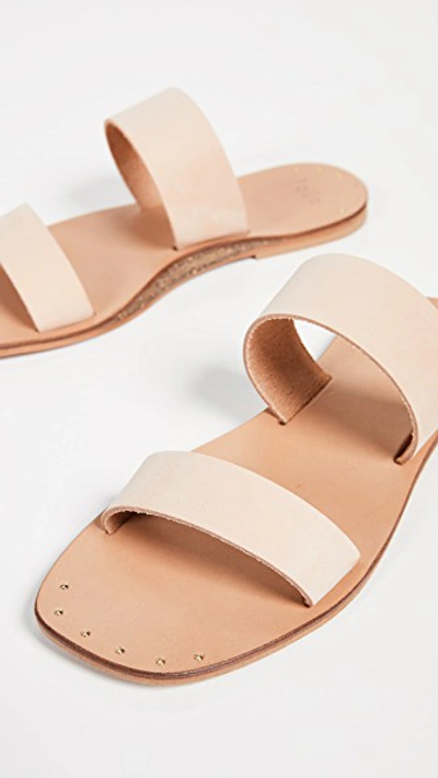 Shop Joie Bannerly Two Band Slides In Blush