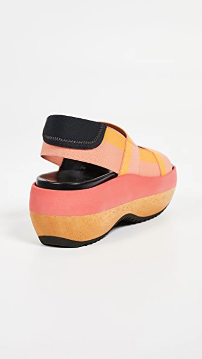 Shop Marni Wedge Two Band Slingback Sandals In Coral/gold