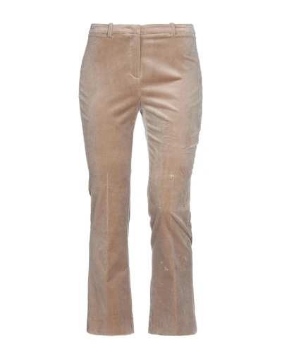 Shop Argonne Casual Pants In Light Brown
