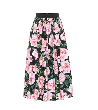 Shop Dolce & Gabbana Floral Cotton Poplin Skirt In Black