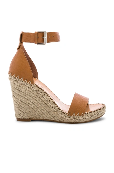 Shop Dolce Vita Noor Sandal In Tan