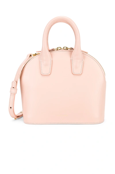 Shop Mansur Gavriel Mini Top Handle Bag In Rosa