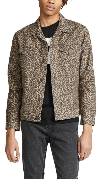 Levi's Cheetah Print Denim Jacket In Patchy Cheetah | ModeSens
