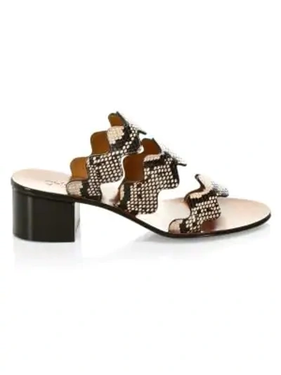 Shop Chloé Lauren Scallop Leather Mules In Multi