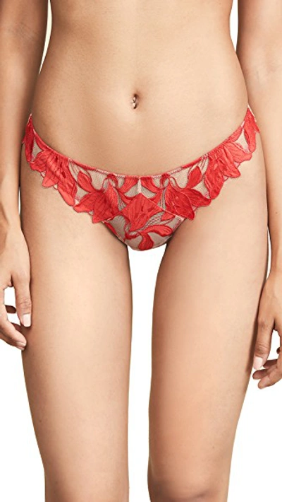 Shop Fleur Du Mal Lily Lace Thong In Red Poppy