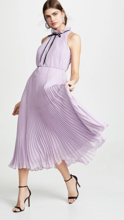 Shop Jill Jill Stuart Pleated Tie Neck Gown In Lilac