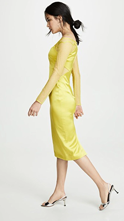 Shop Cushnie Pencil Dress With Long Sleeve Lace Underlay In Lime