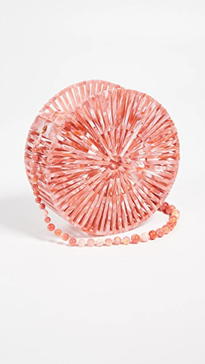 Shop Cult Gaia Acrylic Luna Crossbody Bag In Melon