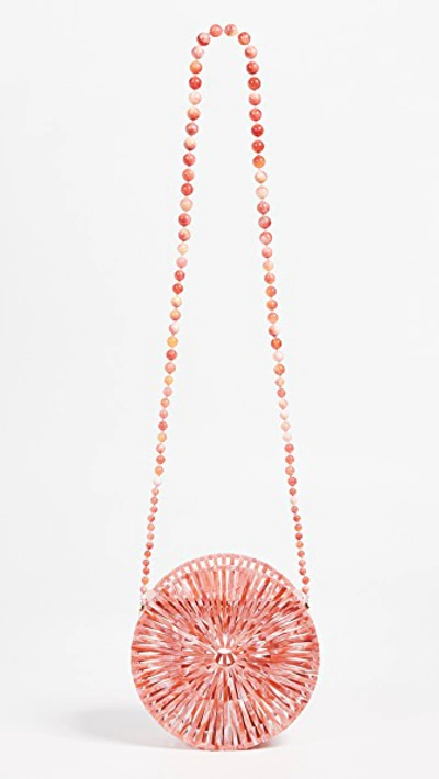 Shop Cult Gaia Acrylic Luna Crossbody Bag In Melon