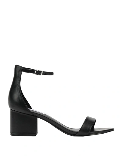 Shop Steve Madden Irenee Woman Sandals Black Size 10 Soft Leather