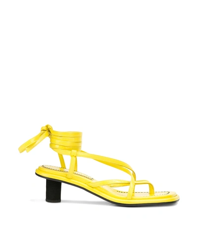 Shop Proenza Schouler Strappy Mid Heel Sandals In Yellow