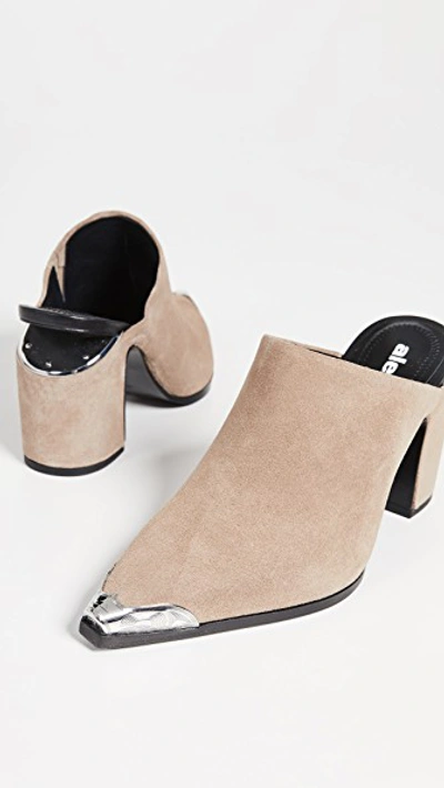 Shop Alexander Wang Su Mules In Sand