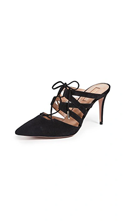 Belgravia Mules 85