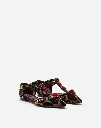 Shop Dolce & Gabbana Ballet Flats In Velvet Stitch With Embroideries In Leopard Print