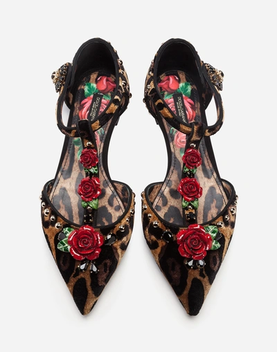 Shop Dolce & Gabbana Ballet Flats In Velvet Stitch With Embroideries In Leopard Print