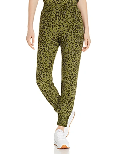 Shop Aqua Leopard Print Jogger Pants - 100% Exclusive In Olive Leopard