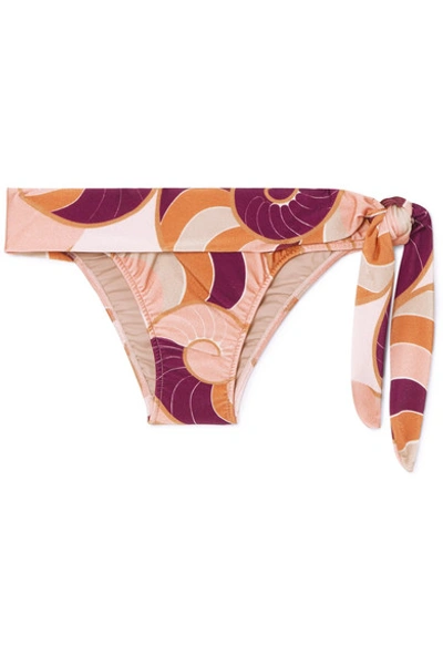 Shop Adriana Degreas Nautilus Printed Bikini Briefs In Blush