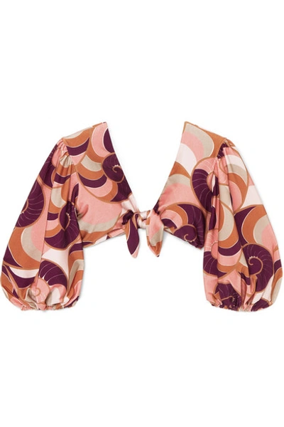 Shop Adriana Degreas Nautilus Tie-front Printed Bikini Top In Blush