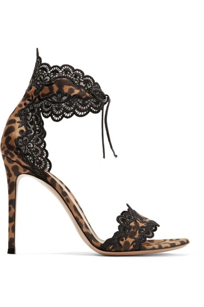 Shop Gianvito Rossi 105 Lace-trimmed Leopard-print Satin Sandals In Leopard Print