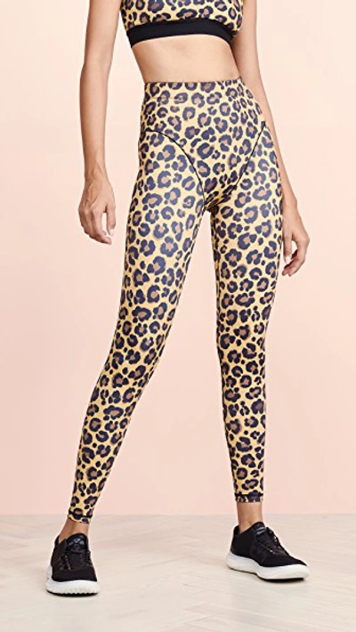 Adam Selman Sport French Cut Leggings In Honey Leopard