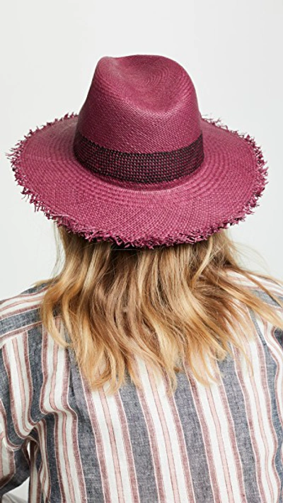 Shop Rag & Bone Frayed Edge Panama Hat In Berry