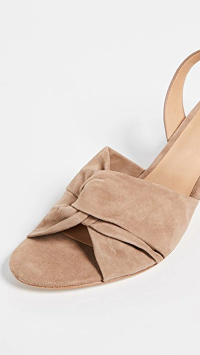 Shop Joie Mallison Sandals In Camel