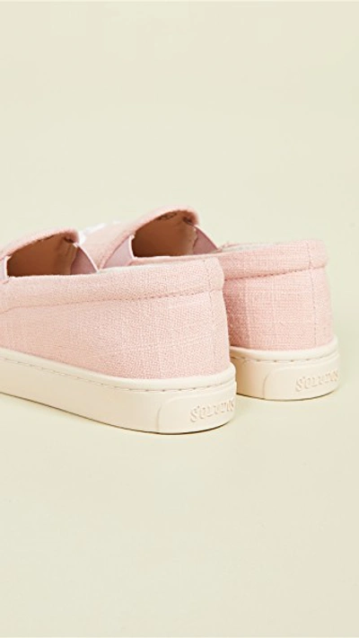 Shop Soludos Ciao Bella Sneakers In Dusty Rose