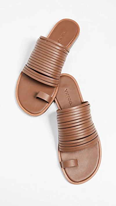 Shop Vince Penrose Toe Ring Slides In Tan