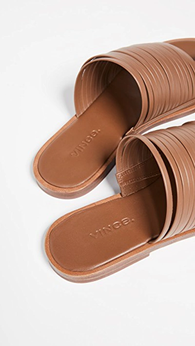Shop Vince Penrose Toe Ring Slides In Tan