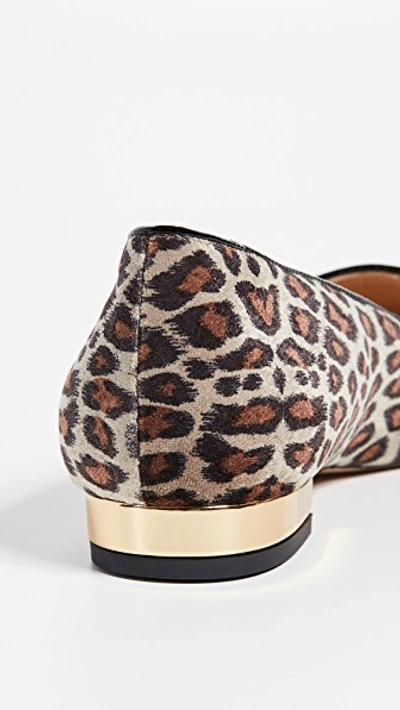 Shop Charlotte Olympia Kitty Flats In Leopard