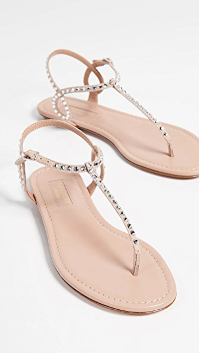 Shop Aquazzura Almost Bare Crystal Flat Sandals In Powder Pink