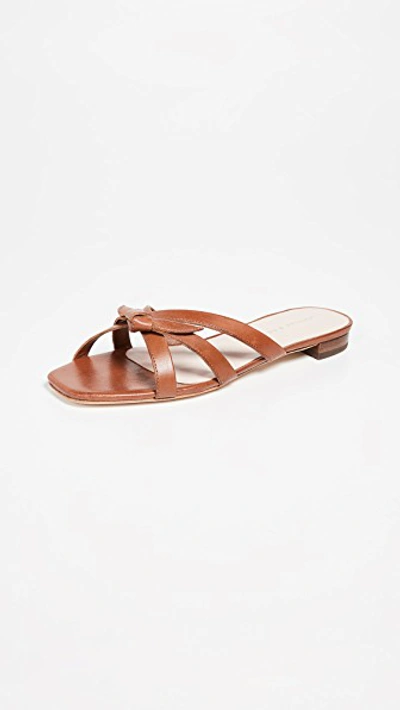 Shop Loeffler Randall Eveline Delicate Strap Flat Sandals In Cognac