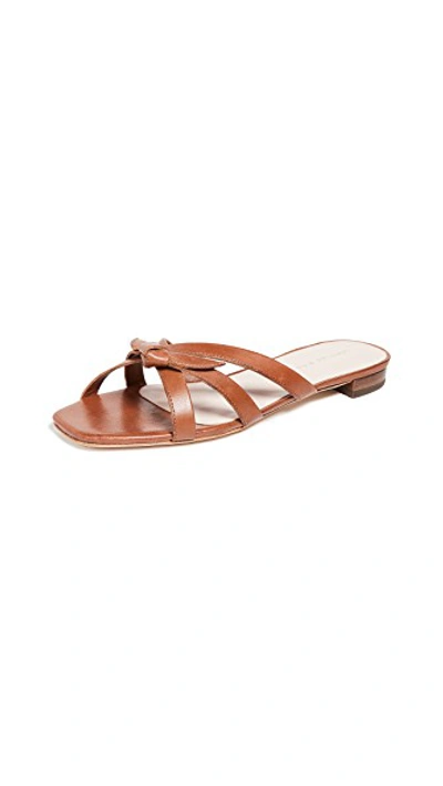 Shop Loeffler Randall Eveline Delicate Strap Flat Sandals In Cognac