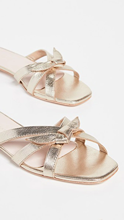 Shop Loeffler Randall Eveline Delicate Strap Flat Sandals In Champagne