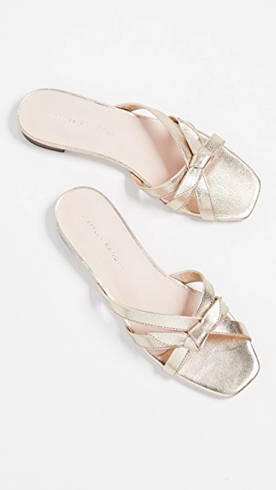 Shop Loeffler Randall Eveline Delicate Strap Flat Sandals In Champagne