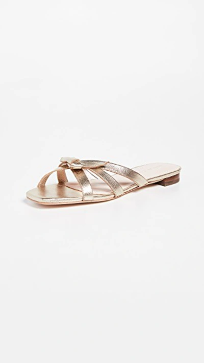 Shop Loeffler Randall Eveline Delicate Strap Flat Sandals In Champagne