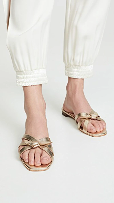 Shop Loeffler Randall Eveline Delicate Strap Flat Sandals In Champagne