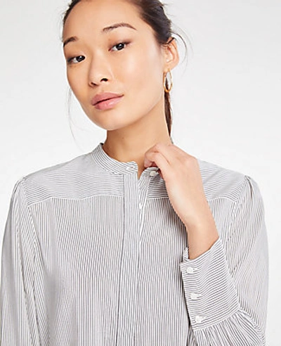 Shop Ann Taylor Shirred Button Down Blouse In Night Sky