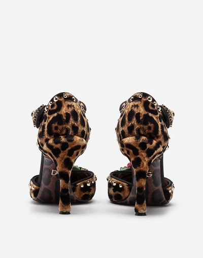 Shop Dolce & Gabbana Velvet Ankle-strap Pumps With Embroidery In Leopard Print