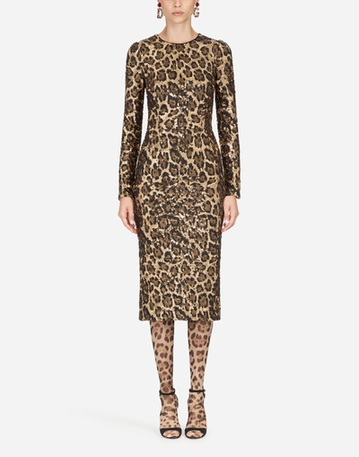 Shop Dolce & Gabbana Sequined Sheath Dress In Leopard Print