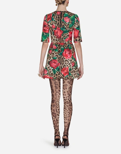 Shop Dolce & Gabbana Dress In Printed Brocade In Leopard Print