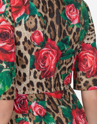 Shop Dolce & Gabbana Dress In Printed Brocade In Leopard Print
