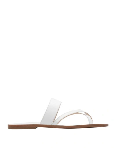 Shop Deimille Toe Strap Sandals In White