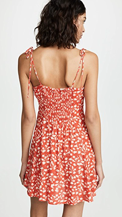 Shop Blue Life Sienna Corset Mini Dress In Tossed Floral Red