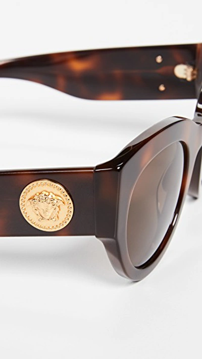 Shop Versace Ve4353 Rock Icons Tribute Sunglasses In Light Havana