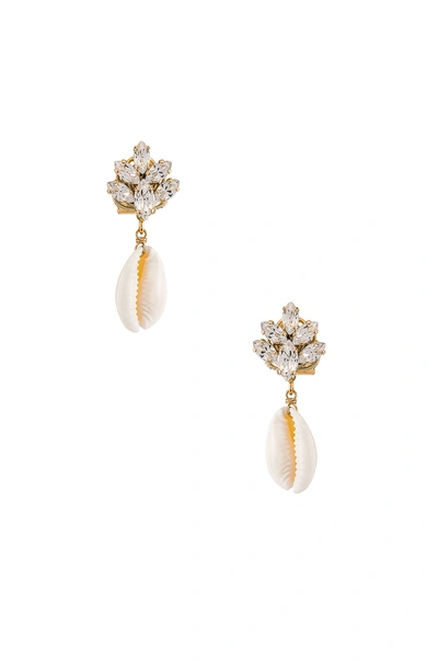 Shop Anton Heunis Cluster Shell Earrings In Clear & Shell