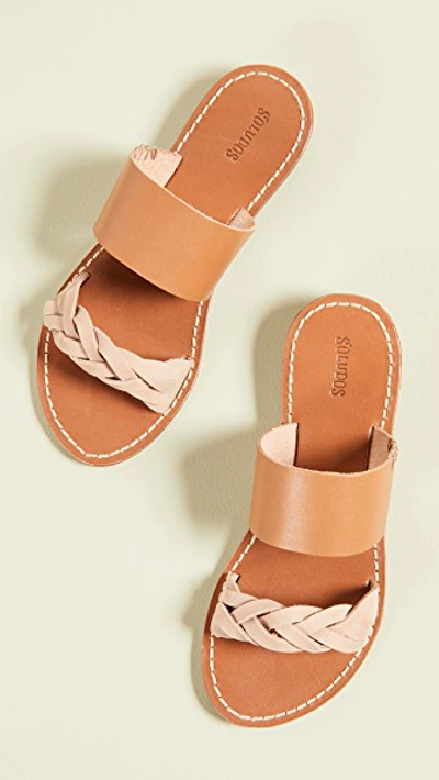 Shop Soludos Braided Slide Sandals In Acorn Brown