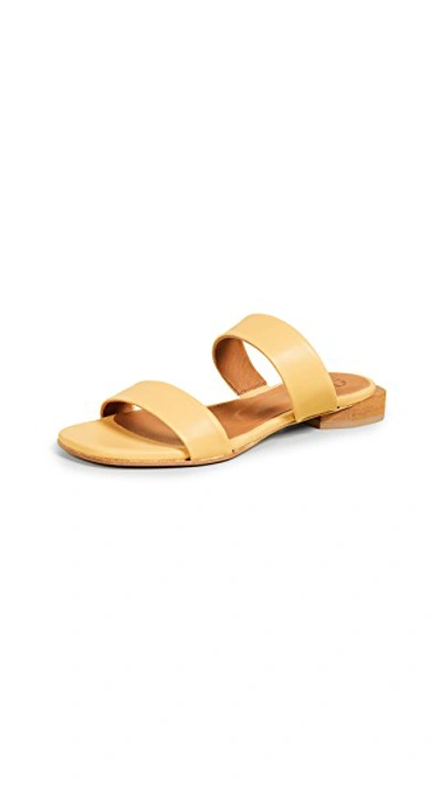 Shop Coclico Shoes Carano Double Strap Slide Sandals In Natur Ocre