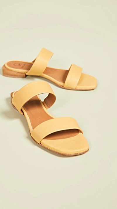 Shop Coclico Shoes Carano Double Strap Slide Sandals In Natur Ocre